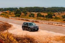 美味水果茶瘦身效果好(水果减肥茶)